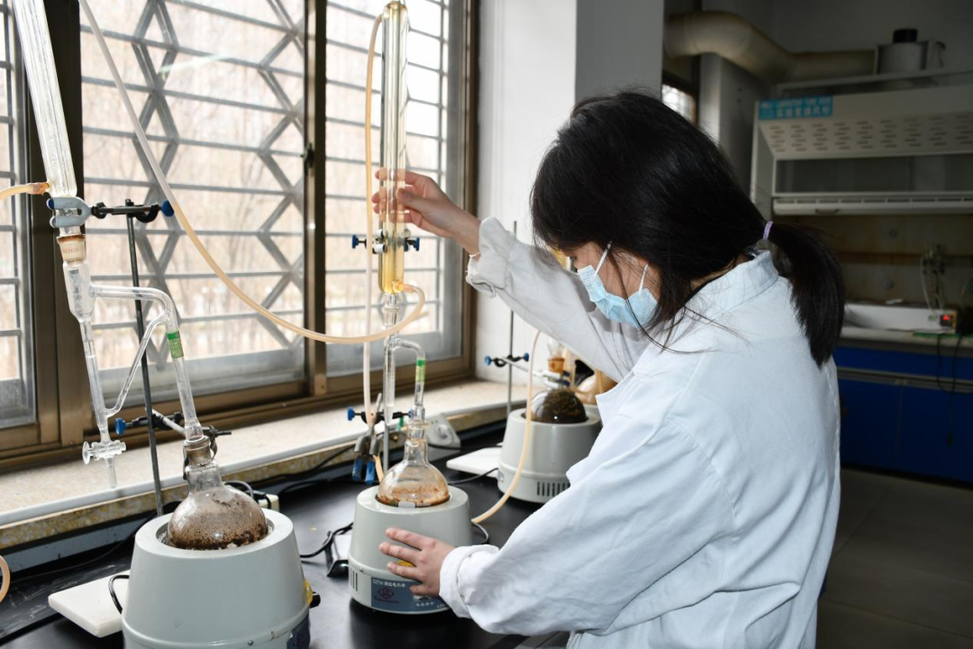 一年之計在于春，青春奮斗正當(dāng)時——醫(yī)養(yǎng)健康集團